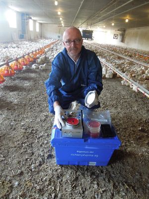 Foto Probenahme Salmonella